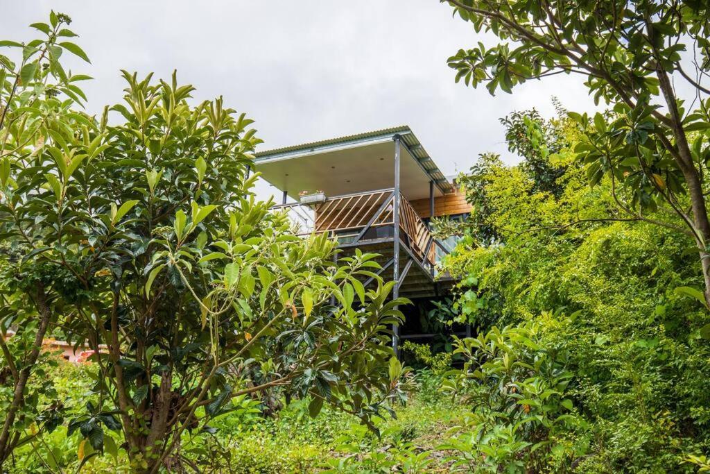Villa Le Panorama Cilaos Exterior foto